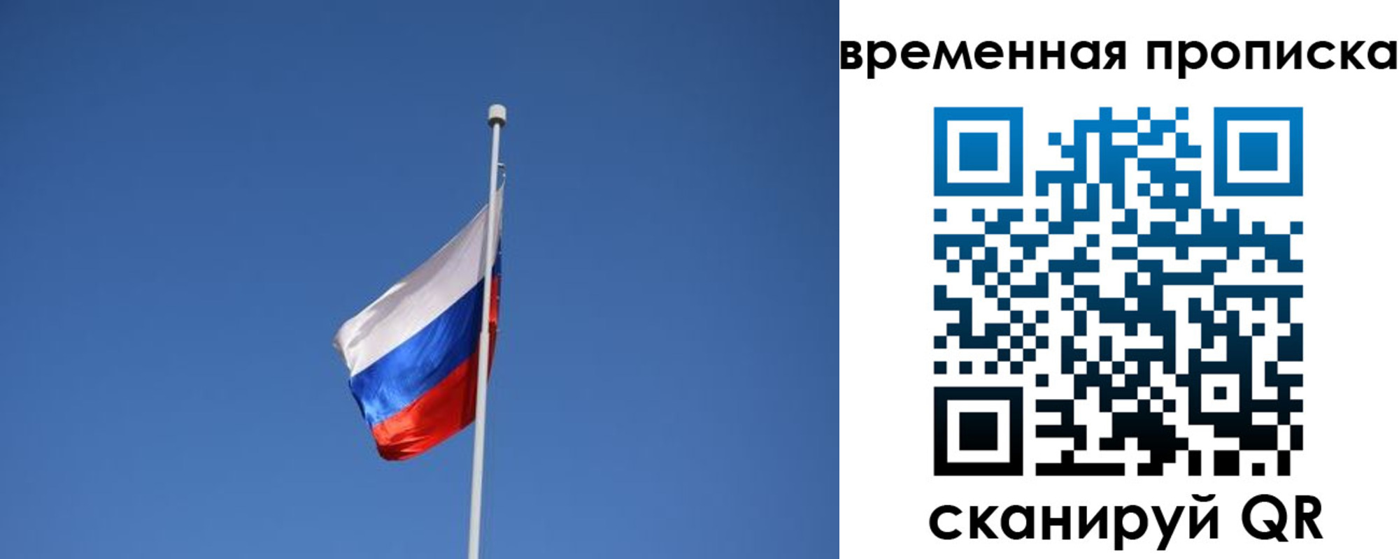 временная регистрация гарантия в Торжоке